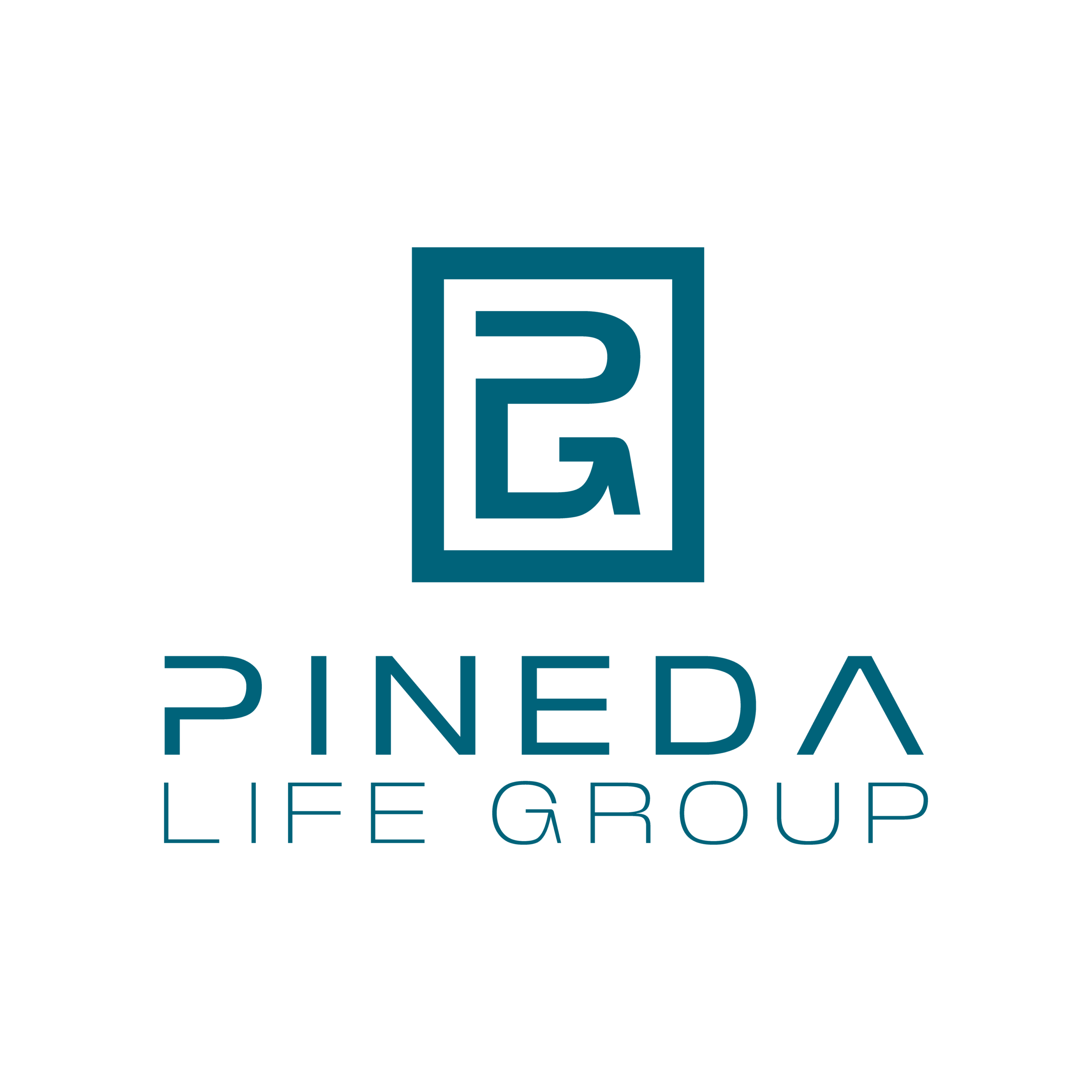 PINEDA-LIFE-GROUP-logo AZUL